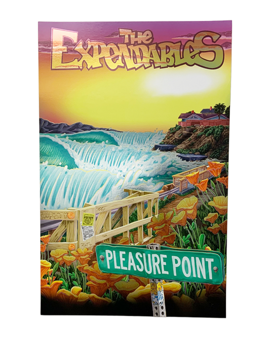 Pleasure Point Foil Poster